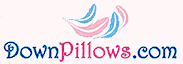 Click Here for DownPillows.com